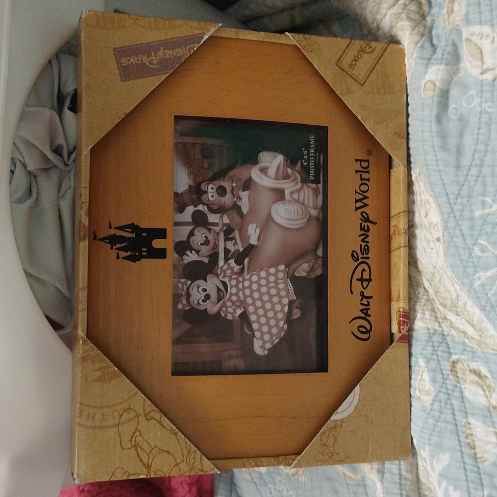 Disney Parks 4 x 6 Picture Frame Walt Disney World